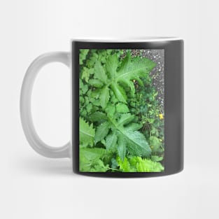 Green Leaves next to the Creek Mug